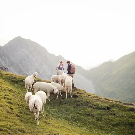 Feneberg הרוואלד