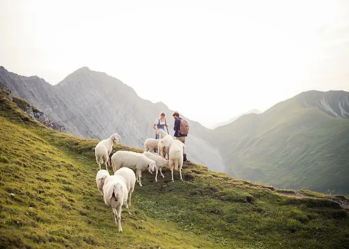 Feneberg הרוואלד